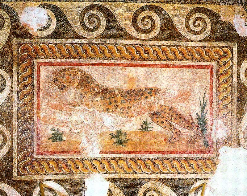 🏛️ 카사 로마나 (코스 로마 가옥)